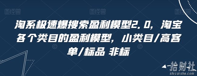 淘系极速爆搜索盈利模型2.0，淘宝各个类目的盈利模型，小类目/高客单/标品 非标