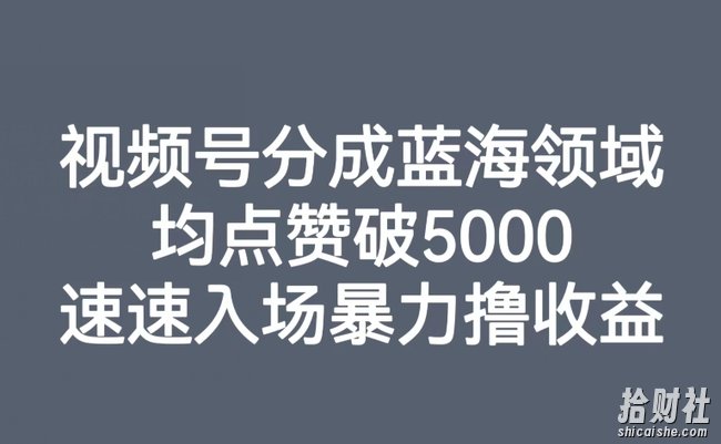 视频号分成蓝海领域,均点赞破5000,速速入场暴力撸收益