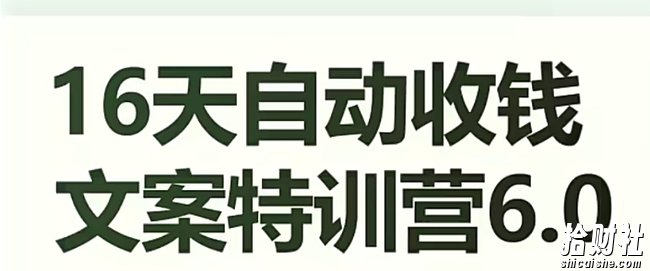 16天自动收钱文案特训营6.0,学会儿每天自动咔咔收钱