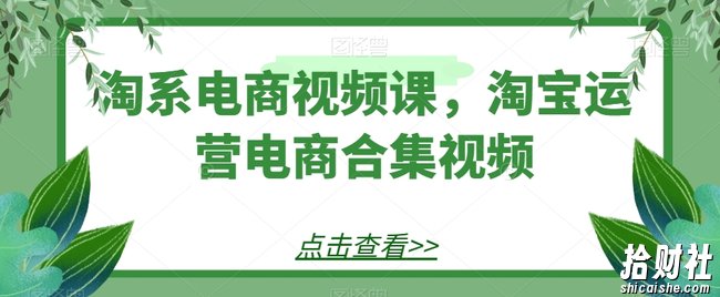 淘系电商视频课,淘宝运营电商合集视频