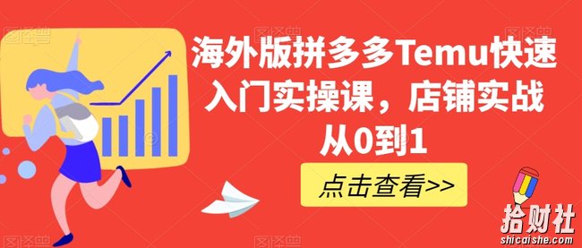海外版拼多多Temu快速入门实操课，店铺实战从0到1