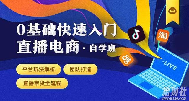 0基础快速入门直播电商课程:直播平台玩法解析-团队打造-带货全流程等环节