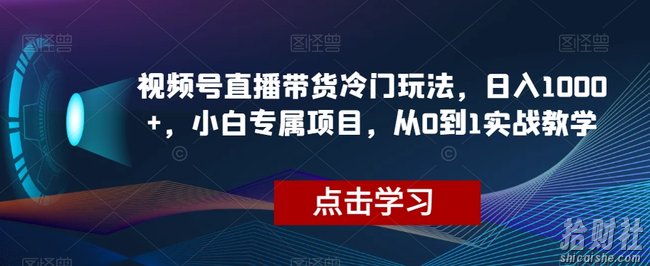 视频号直播带货冷门玩法，日入1000+，小白专属项目，从0到1实战教学【揭秘】