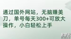 通过国外网站,无脑赚美刀,单号每天300+可放大操作,小白轻松上手【揭秘】