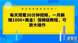 每天观看30分钟视频,一月躺赚1000+美金!保姆级教程,可放大操作【揭秘】