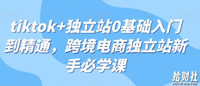 tiktok+独立站0基础入门到精通,跨境电商独立站新手必学课
