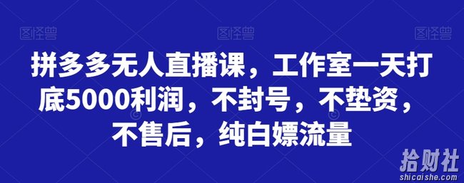 拼多多无人直播课,工作室一天打底5000利润,不封号,不垫资,不售后,纯白嫖流量