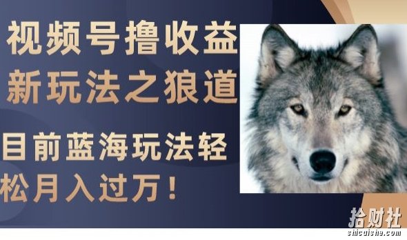 视频号撸收益新玩法之狼道，目前蓝海玩法，轻松月入过万【揭秘】