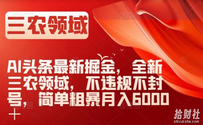 AI头条最新掘金,全新三农领域,不违规不封号,简单粗暴月入6000+【揭秘】