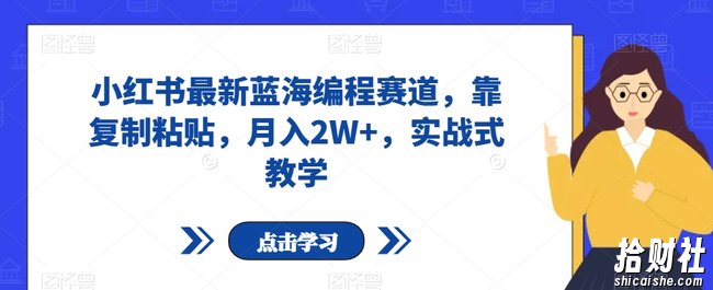 小红书最新蓝海编程赛道,靠复制粘贴,月入2W+,实战式教学【揭秘】