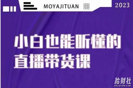 大威本威·能听懂的直播带货课，小白也能听懂，20节完整