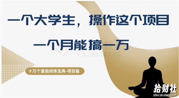 十万个富翁修炼宝典之4.一个大学生操作这个项目，一个月能搞一万