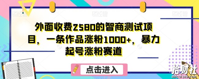 外面收费2580的智商测试项目，一条作品涨粉1000+，暴力起号涨粉赛道【揭秘】