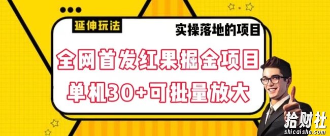 全网首发红果免费短剧掘金项目，单机30+可批量放大【揭秘】