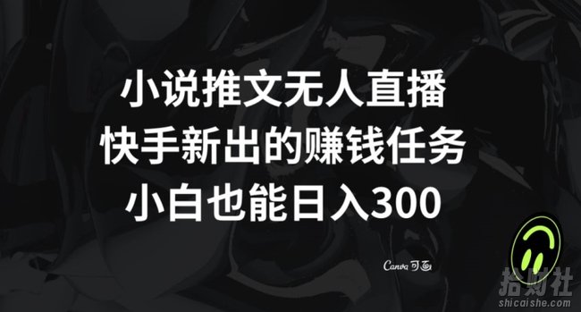 小说推文无人直播，快手新出的賺米任务，小白也能日入300+【揭秘】