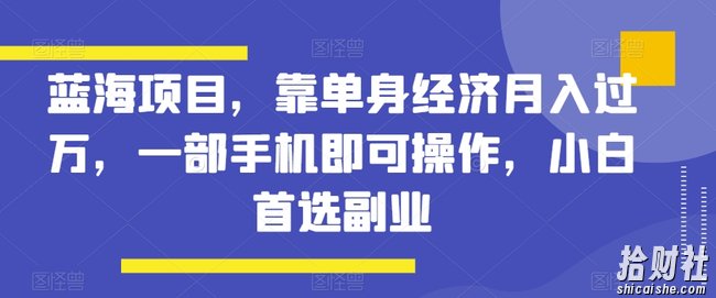 蓝海项目，靠单身经济月入过万，一部手机即可操作，小白首选副业【揭秘】