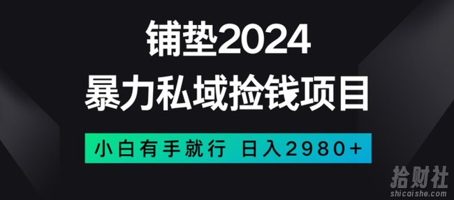 暴力私域捡钱项目，小白无脑操作，日入2980【揭秘】