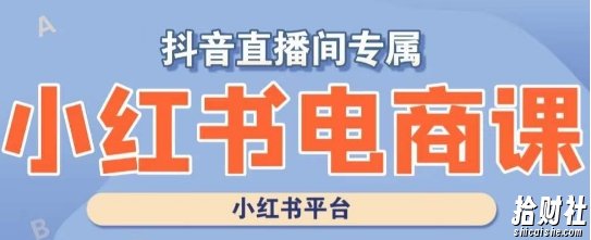小红书电商高级运营课程，实操教学+案例分析