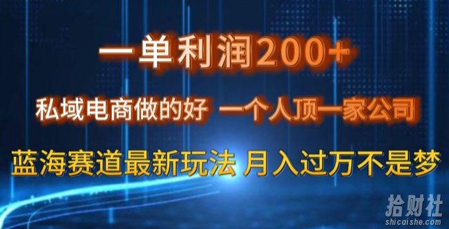 一单利润200私域电商做的好，一个人顶一家公司蓝海赛道最新玩法【揭秘】