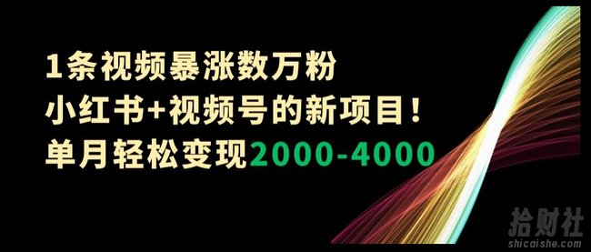 1条视频暴涨数万粉–小红书+视频号的新项目！单月轻松变现2000-4000【揭秘】