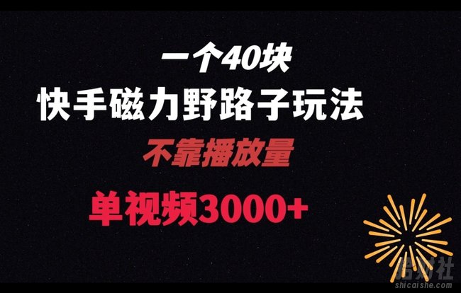 一个40块，快手联合美团磁力新玩法，无视机制野路子玩法，单视频收益4位数【揭秘】
