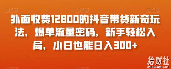 外面收费12800的抖音带货新奇玩法，爆单流量密码，新手轻松入局，小白也能日入300+【揭秘】