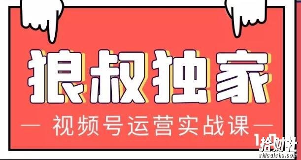 狼叔视频号运营实战课,带你深度入手微信视频号1.0,从0粉丝开始快速涨粉变现