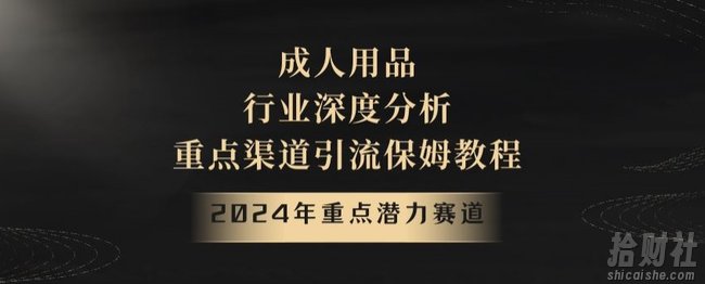2024年重点潜力赛道,成人用品行业深度分析,重点渠道引流保姆教程【揭秘】