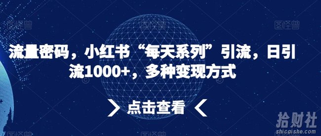 流量密码，小红书“每天系列”引流，日引流1000+，多种变现方式【揭秘】