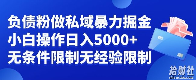 负债粉私域暴力掘金，小白操作入5000，无经验限制，无条件限制【揭秘】