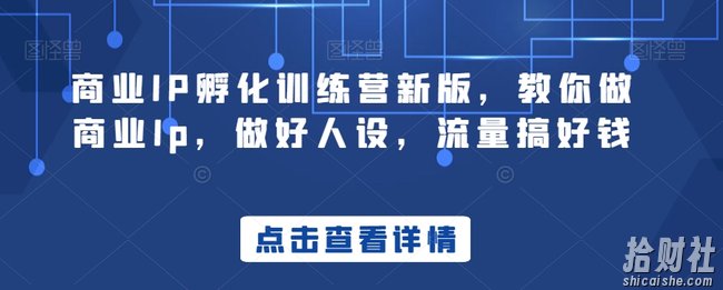 商业IP孵化训练营新版，教你做商业Ip，做好人设，流量搞好钱