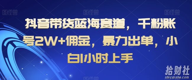 抖音带货蓝海赛道，千粉账号2W+佣金，暴力出单，小白1小时上手【揭秘】
