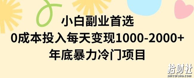 小白副业首选，0成本投入，每天变现1000-2000年底暴力冷门项目【揭秘】