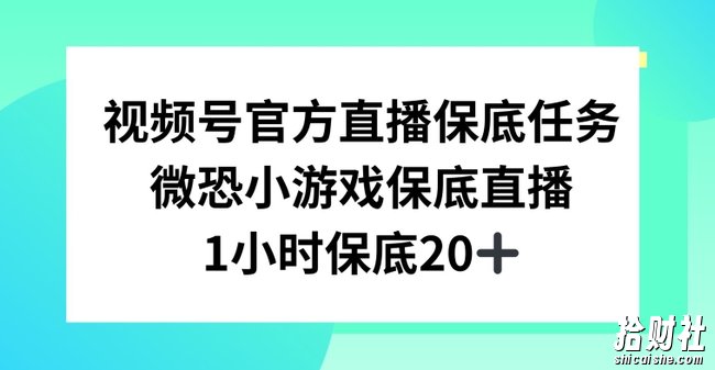 视频号直播任务，微恐小游戏，1小时20+【揭秘】