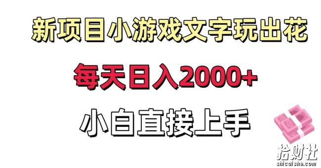 新项目小游戏文字玩出花日入2000+，每天只需一小时，小白直接上手【揭秘】