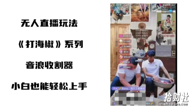 打海椒无人直播整蛊项目，小白轻松上手撸音浪收割器