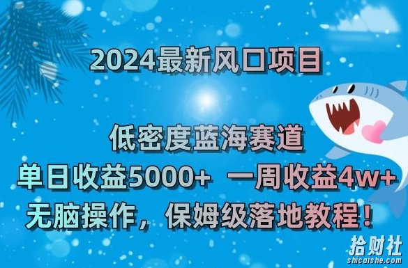 2024最新风口项目,低密度蓝海赛道,单日收益5000+,一周收益4w+!【揭秘】