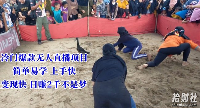 冷门爆款无人直播项目，简单易学上手快，变现快日赚2千不是梦【揭秘】