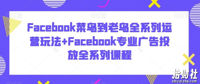 Facebook菜鸟到老鸟全系列运营玩法+Facebook专业广告投放全系列课程