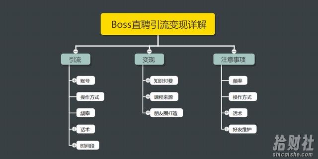 王半圈：Boss直聘引流变现详解，让网络賺米更简单!【视频课程】