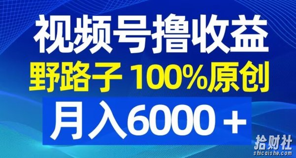 视频号野路子撸收益，100%原创，条条爆款，月入6000＋【揭秘】