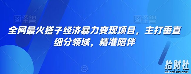 全网最火搭子经济暴力变现项目，主打垂直细分领域，精准陪伴【揭秘】