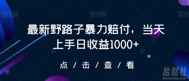 最新野路子暴力赔付，当天上手日收益1000+【仅揭秘】