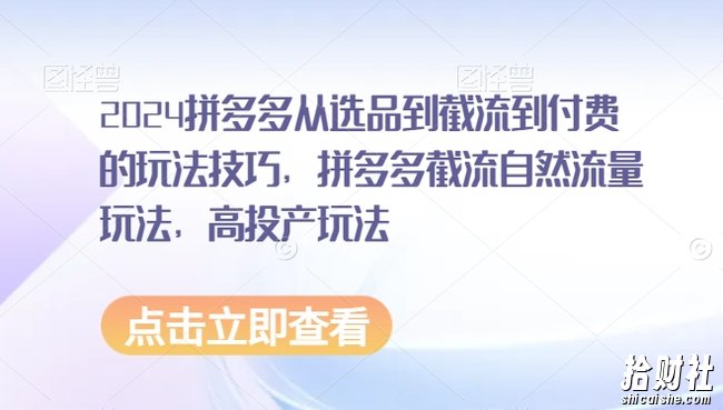 2024拼多多从选品到截流到付费的玩法技巧,拼多多截流自然流量玩法,高投产玩法
