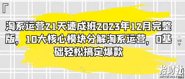 淘系运营21天速成班2023年12月完整版,10大核心模块分解淘系运营,0基础轻松搞定爆款