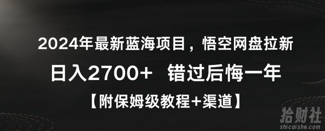 2024年最新蓝海项目，悟空网盘拉新，日入2700+错过后悔一年【附保姆级教程+渠道】【揭秘】