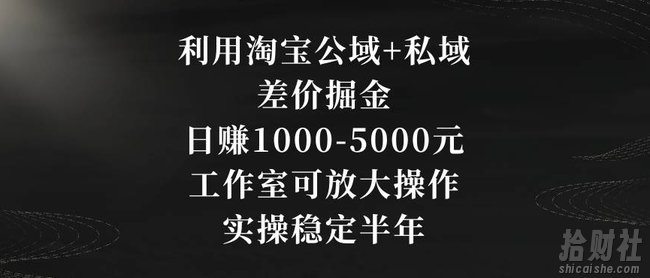 利用淘宝公域+私域差价掘金，日赚1000-5000元，工作室可放大操作，实操稳定半年【揭秘】