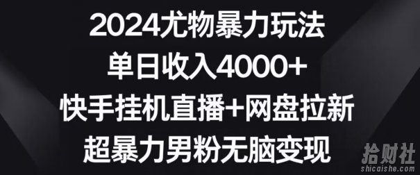 2024尤物暴力玩法，单日收入4000+，快手挂JI直播+网盘拉新，超暴力男粉无脑变现【揭秘】