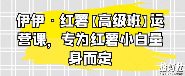 伊伊·红薯【高级班】运营课,专为红薯小白量身而定