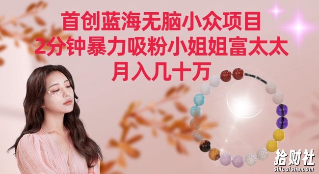 首创蓝海无脑小众项目，2分钟暴力吸粉小姐姐富太太，月入几十万【揭秘】